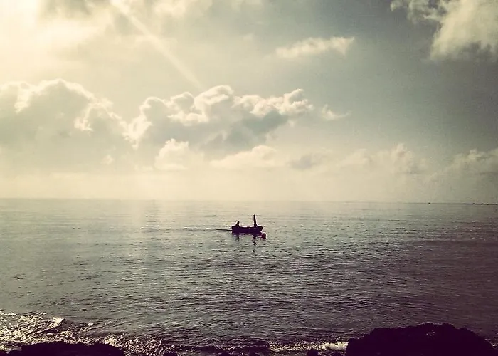 Maouris 4* プロタラス