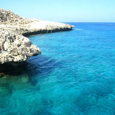 Maouris פרוטאראס